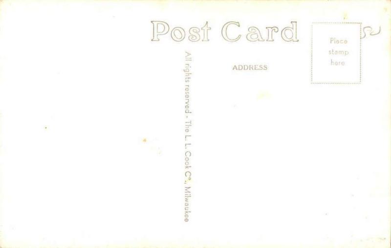 Allegan Michigan County Building Real Photo Antique Postcard K55498