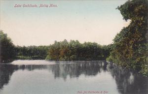 Lake Cochituate Natick Massachusetts