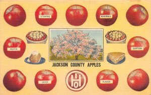 Jackson County Ohio Apples Vintage Postcard AA58585