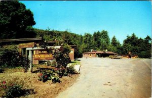 Big Sur, CA California  REDWOOD LODGE & CAMP  Roadside Motel  ca1950's Postcard