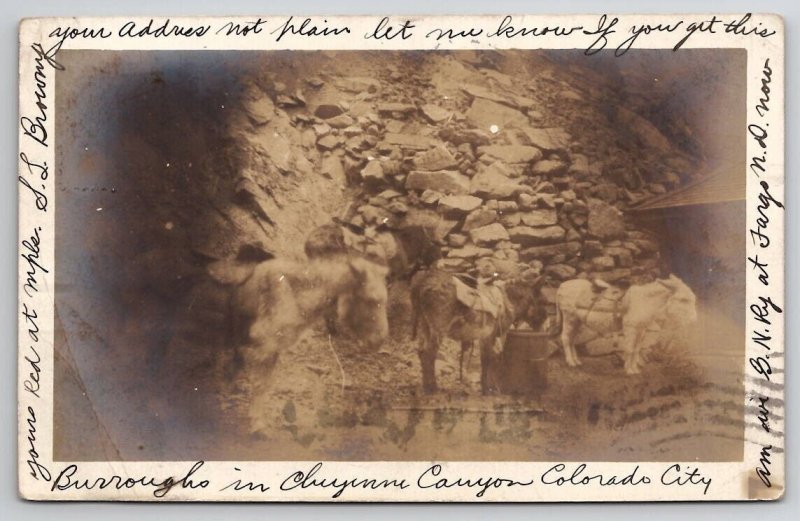 RPPC Burroughs In Cheyenne Canyon Colorado City 1906 Real Photo Postcard B32