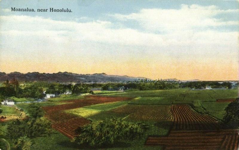 hawaii, HONOLULU, Maonalua (1910s) Postcard 