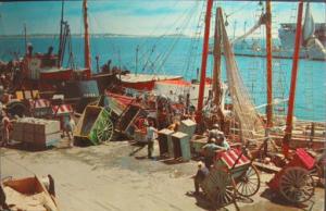 Boston MA Fish Pier Postcard