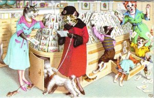 MAINZER Dressed Cats #4933 LADIES~CARD SHOP~DOG Anthropomorphic BELGIUM Postcard