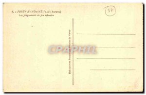 Postcard Old Forest of Andaine The Peupiements of Scots Pine