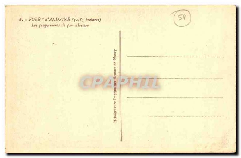 Postcard Old Forest of Andaine The Peupiements of Scots Pine