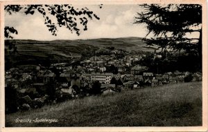 Graslitz-Sudetengau LESPIKA 1249 Papier-Meinlschmidt Postcard