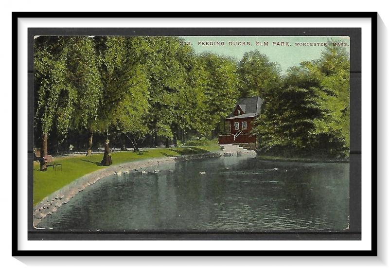 Massachusetts, Worcester - Feeding Ducks - Elm Park - [MA-506]