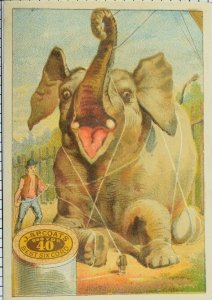 1870's-80's Jumbo Elephant J. & P. Coats Best Six Cord Victorian Trade Card P59 