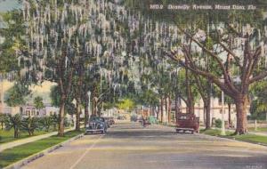 Florida Mount Dora Donnelly Avenue