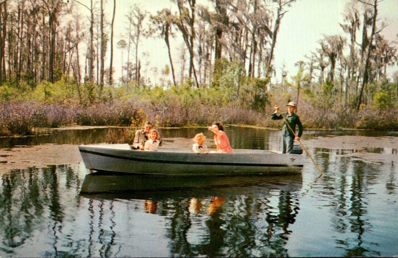 Georgia Okefenokee Swamp Park Boat Cruise