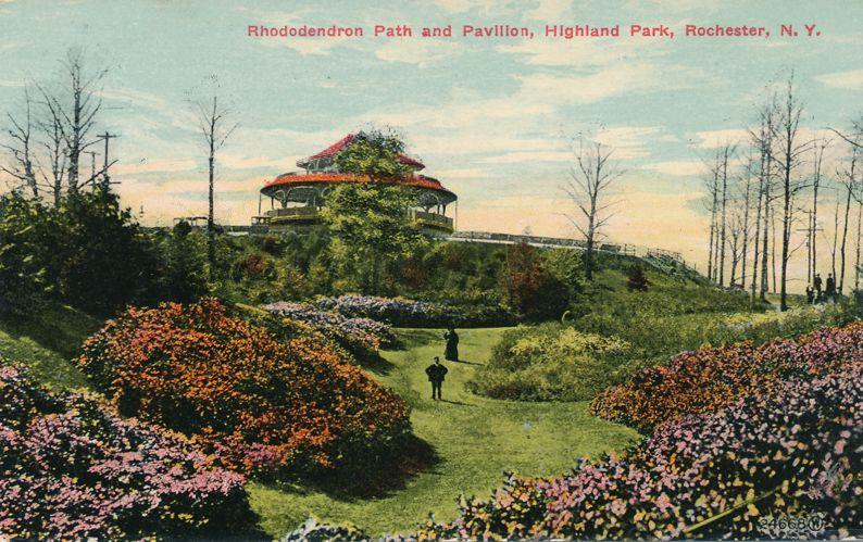 Highland Park Rochester New York - Rhododendron Path and Pavilion - pm 1912 - DB