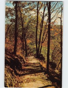 Postcard Wooded Path on Bluff Along the Mississippi River USA North America