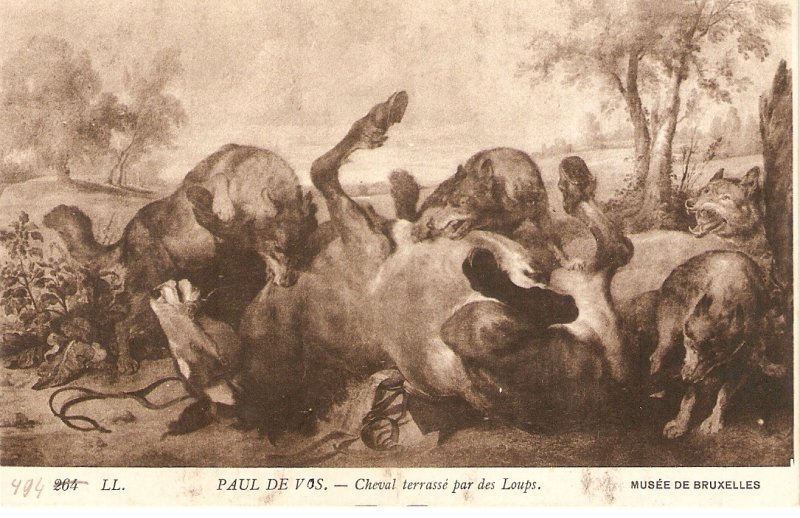 Paul de Vos. Horse attacked by woloves Olkd vintage French Art Postcard