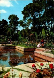 CONTINENTAL SIZE POSTCARD MADRID ROSALEDA OF RETIRO