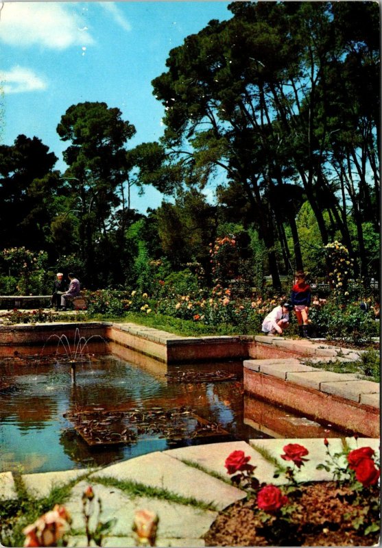 CONTINENTAL SIZE POSTCARD MADRID ROSALEDA OF RETIRO