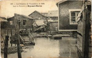 CPA BRY-sur-MARNE dans la Pepiniere Les Desastres de l'Inondation (600154)