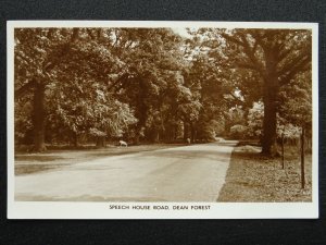 Gloucestershire DEAN FOREST Speech House Road - Old RP Postcard