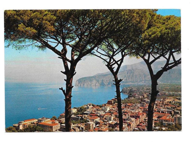 Italy Sorrento Panorama Birds Eye View Vntg Postcard 4X6