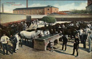 Artiglieria Italy All'abbeveratoio Italian Soldiers and Horses c1910 Postcard