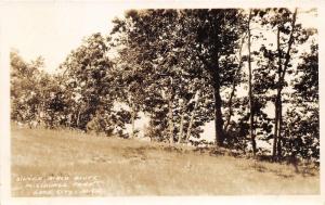 Lake City Michigan~Missaukee Park-Silver Birch Bluff~c1920 Etha Smith RPPC