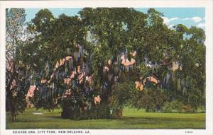 Louisiana New Orleans Suicide Oak In City Park