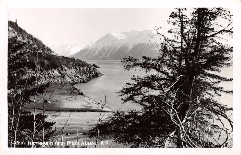 TURNAGAIN ARM FROM ALASKA RAILROAD REAL PHOTO POSTCARD c1940s