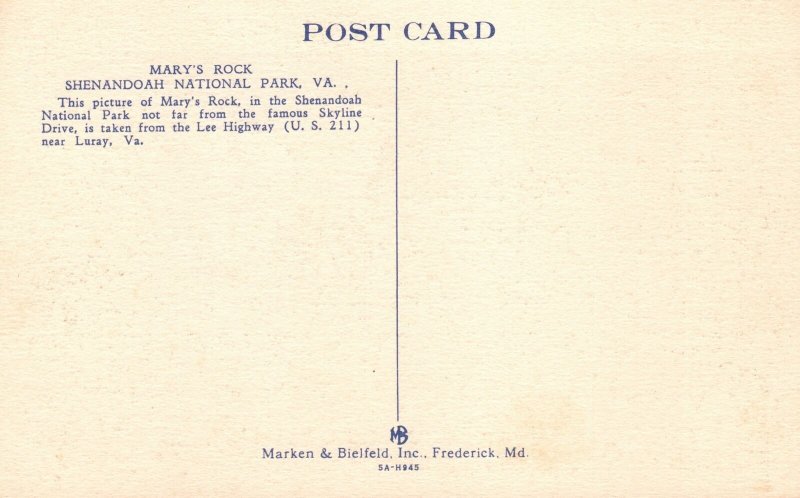 Vintage Postcard 1920's View of Mary's Rock Shenandoah National Park Virginia VA