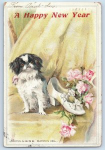 1907 New Year Japanese Spaniel Dog And Pink Flowers Salem MA Antique Postcard
