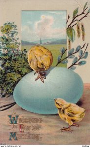 EASTER, PU-1911; Chicks on blue rgg, Country View