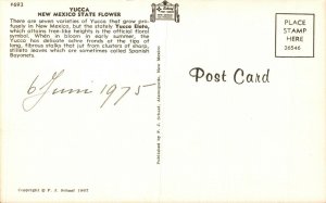 USA New Mexico State Flower Yucca Chrome Postcard 08.65