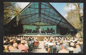 Band Shell Williams Park St Petersburg FL Unused c1950s
