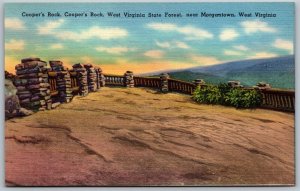 Vtg Morgantown West Virginia WV Cooper's Rock State Forest 1940s Unused Postcard