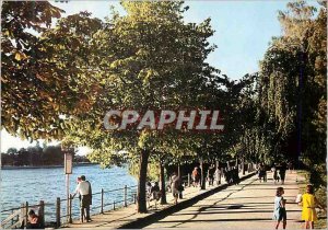 Postcard Moderne Vichy (Allier) Le Parc Les Bords du Lac d'Allier