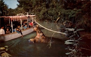 Disneyland Anaheim Magic Kingdom Explorer's Boat Hippo B-2 Postcard