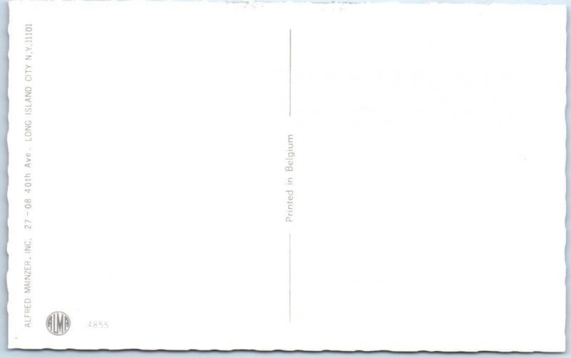 Mainzer DRESSED CATS & Kittens PAINTERS, WALLPAPER #4855 Belgium Postcard