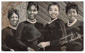 The Shirelles    Exhibit Card