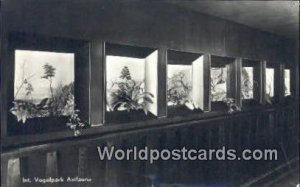 Int Vogelpark Avifauna Holland Netherlands 1951 