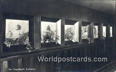 Int Vogelpark Avifauna Holland Netherlands 1951 