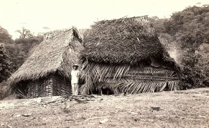 1940s PANAMA DARIEN INDIAN HOME FOTO FLATAU PHOTO RPPC POSTCARD P172