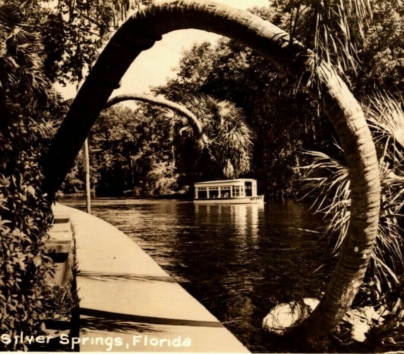 RPPC Silver Springs Florida FL Bent Palms Canal Boats Postcard 1950