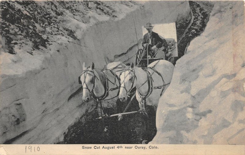 H23/ Ouray Colorado Postcard 1910 Snow Cut August 4th Horse Wagon 2