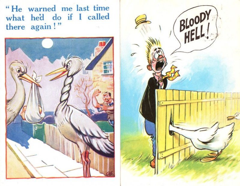 Birds With Giant Beaks Bloody Hell 2x Comic Postcard s