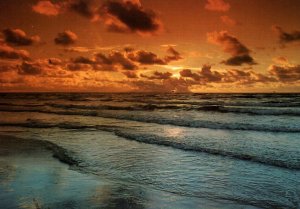 CONTINENTAL SIZE POSTCARD SUNRISE GULF OF MEXICO