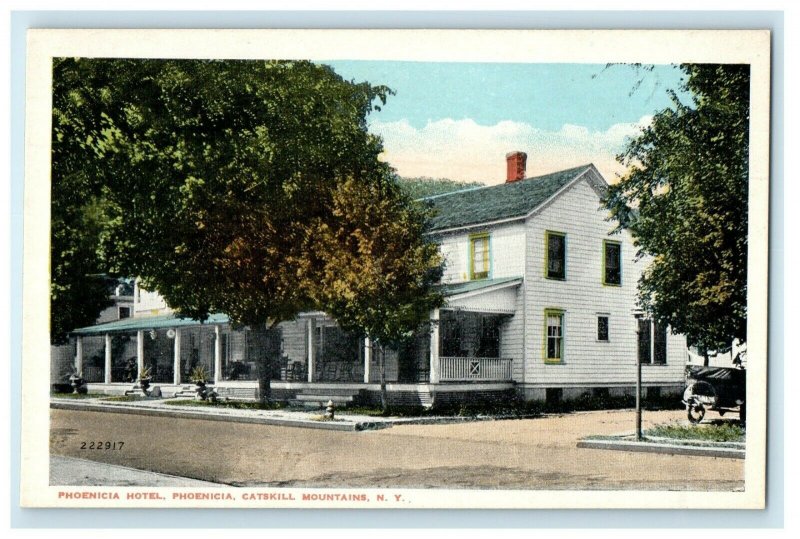 c1910's Phoenicia Hotel Street View Catskill Mountains New York NY Postcard