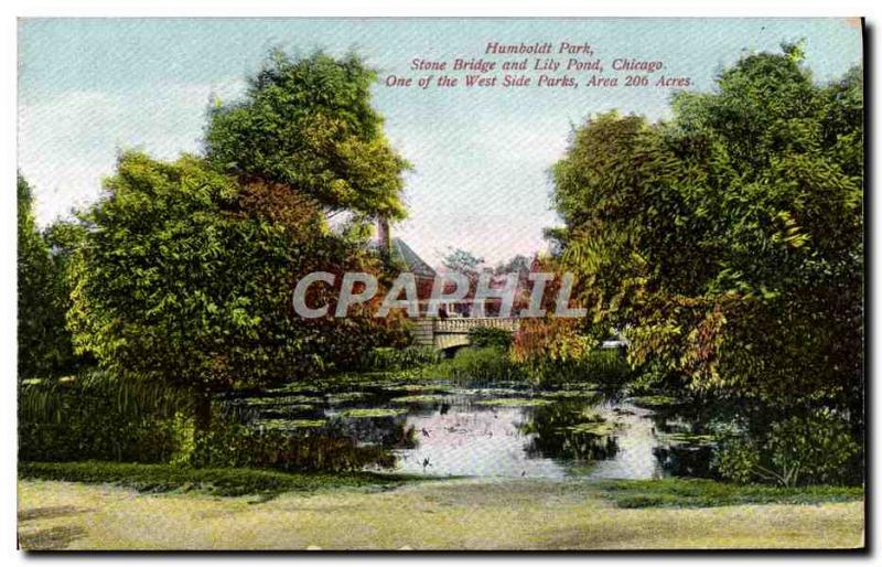 VINTAGE POSTCARD Chicago Humboldt Park Stone Bridge and Lily