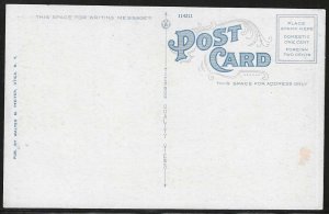 Homeopathic Hospital, Utica, New York, Early Postcard, Unused