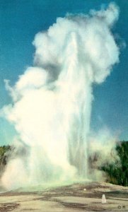 Yellowstone National Park Old Faithful Geyser