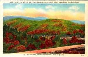 Postcard ROAD SCENE Great Smoky Mountains National Park North Carolina NC AL1164