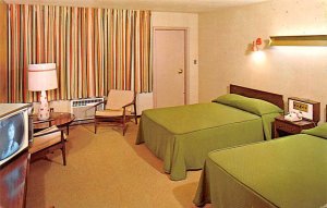 Lincoln Motel Liberty New York Postcard